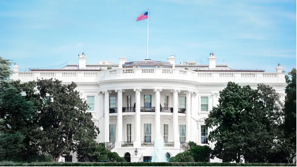 Deciphering Market Trends: S&P 500 and Asset Class Performance in Presidential Election Years